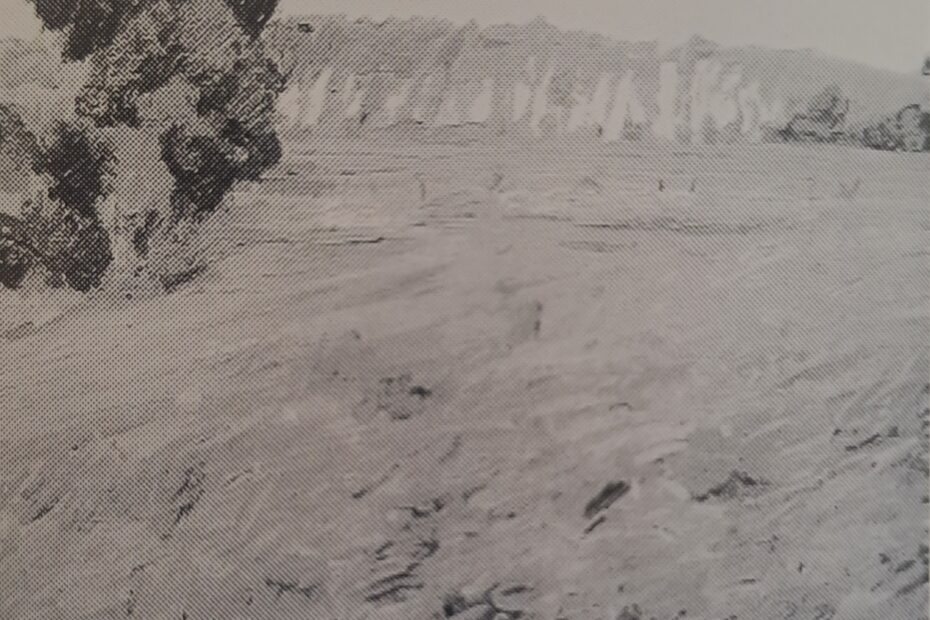 Landschaft mit Pappeln, um 1902