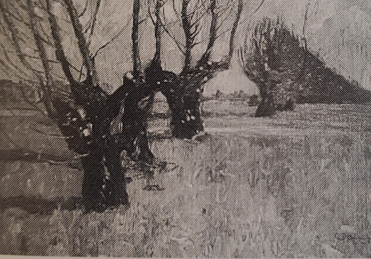 Landschaft mit Kopfweiden, um 1905
