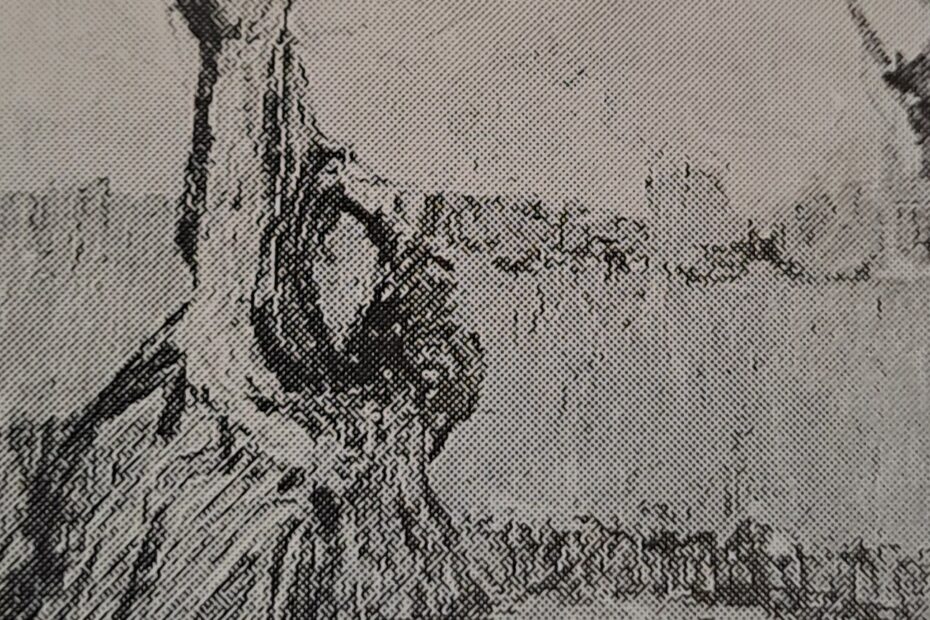 Weide bei Niederkassel, um 1905