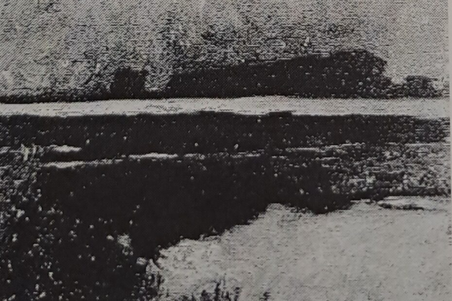 Am Rhein bei Ehingen, um 1905