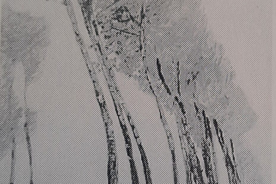 Hohe Pappeln, 1906