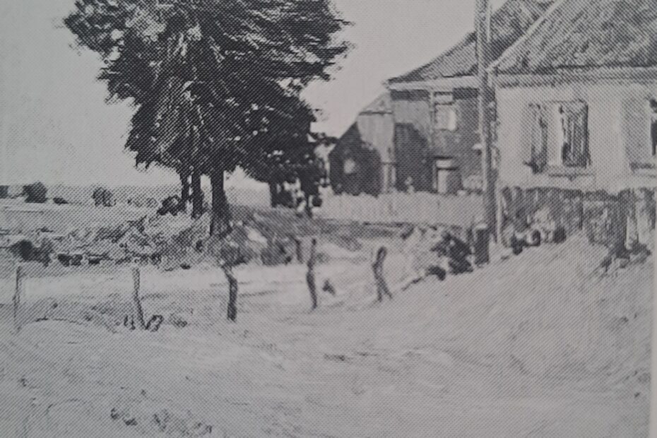Landschaft bei Niederkassel, um 1906