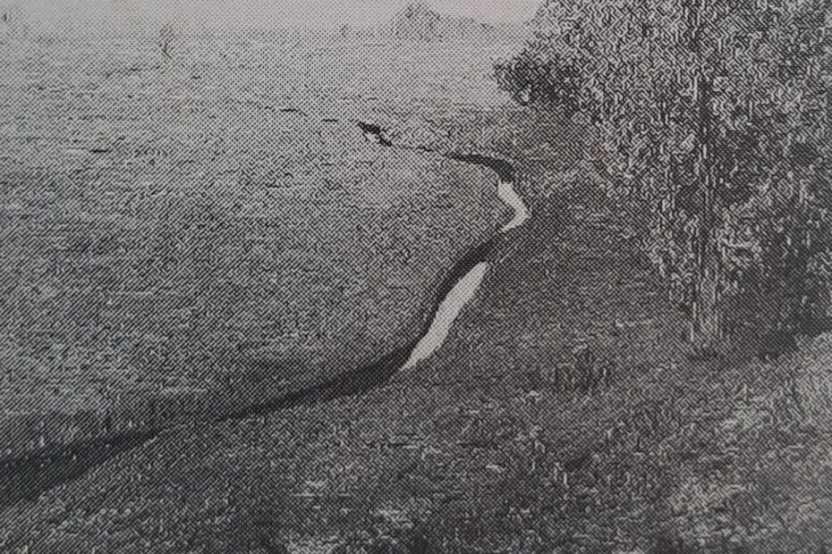 Wiesenbächlein, um 1906