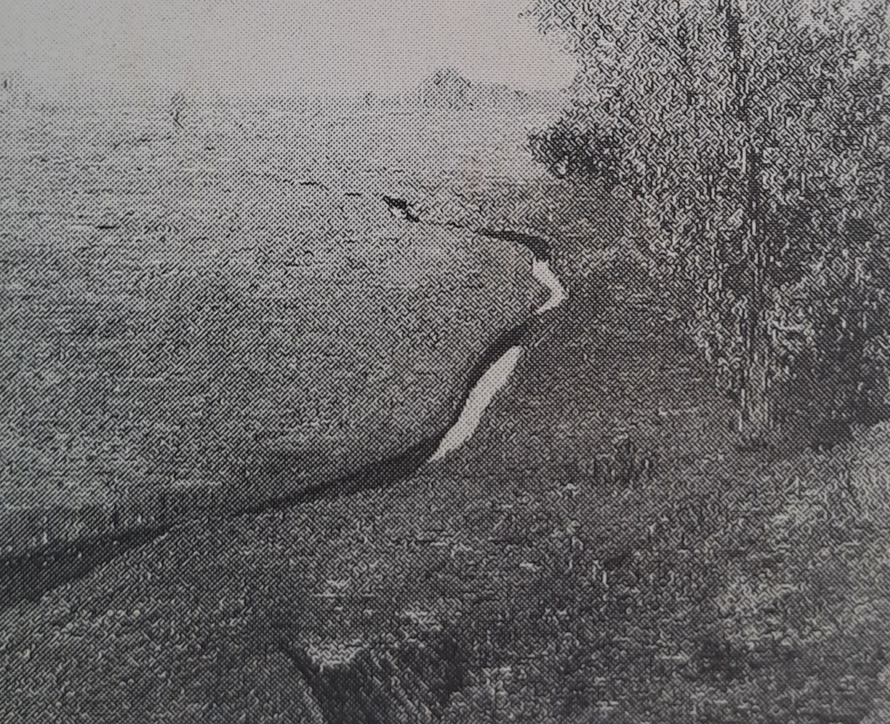 Wiesenbächlein, um 1906