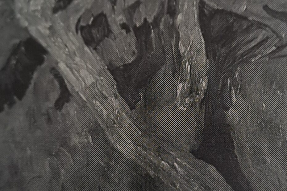 Kopfweiden am Niederrhein, um 1906