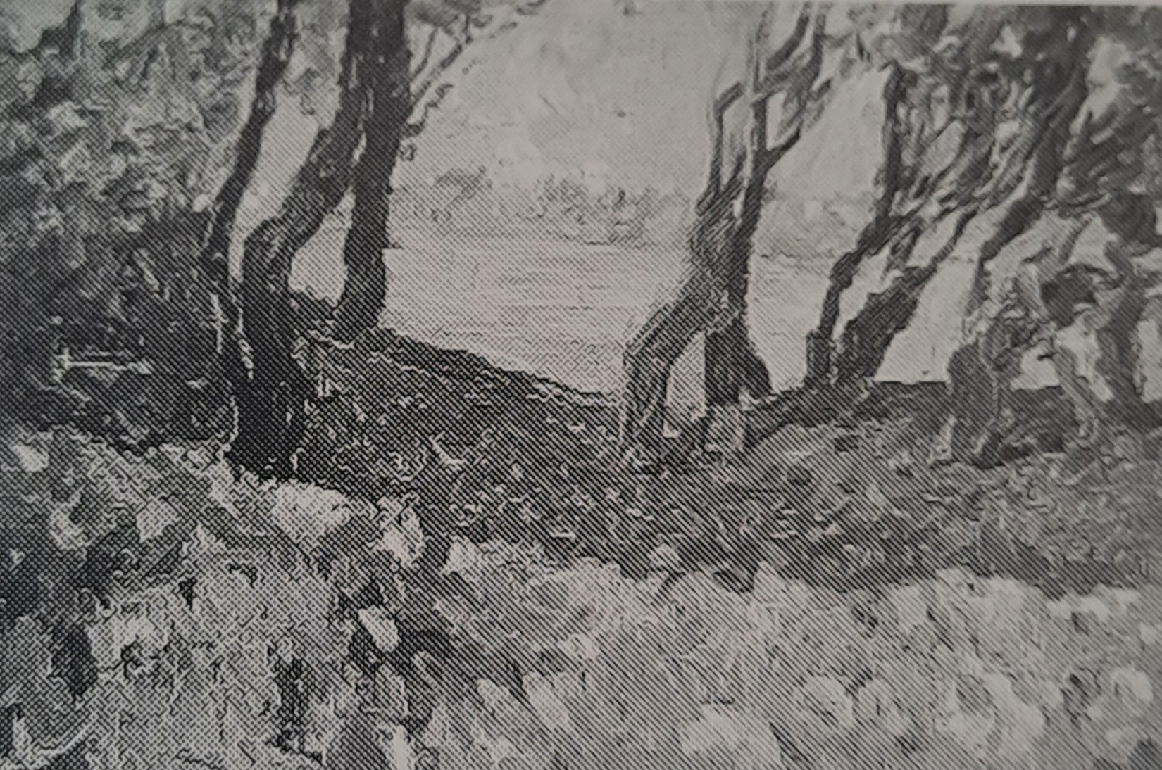 Krickenbeck, um 1906