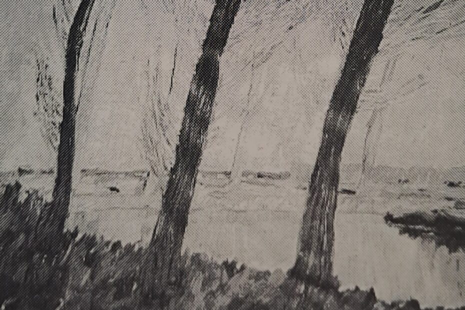 Teich in Niederkassel, um 1906