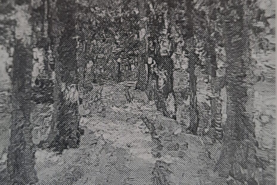 Drevenack I, 1906