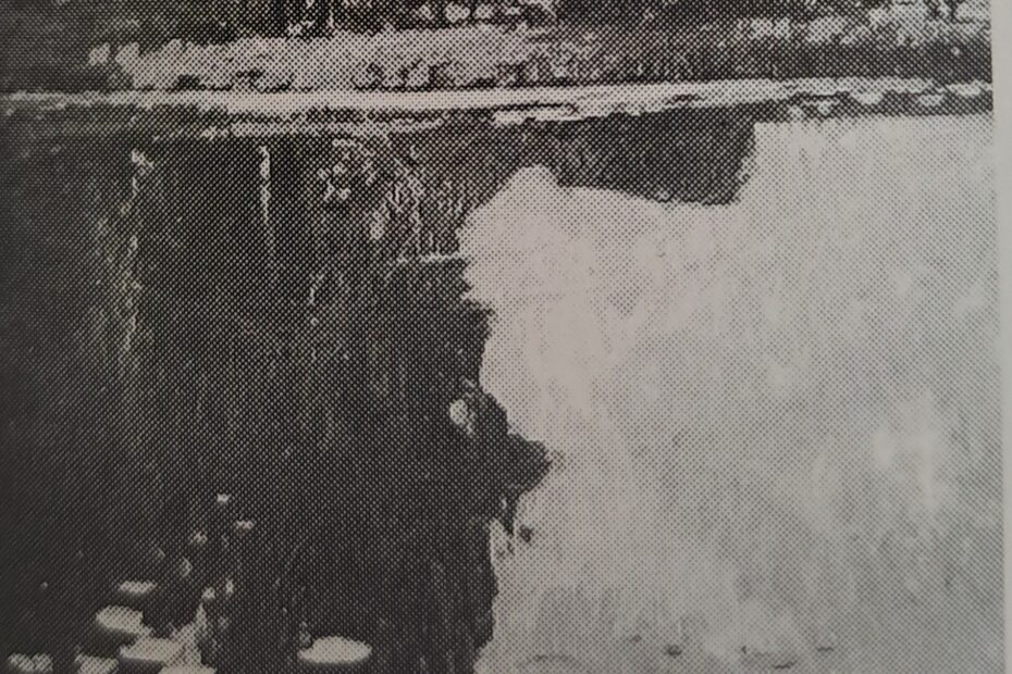 Drevenack III, 1906-1907
