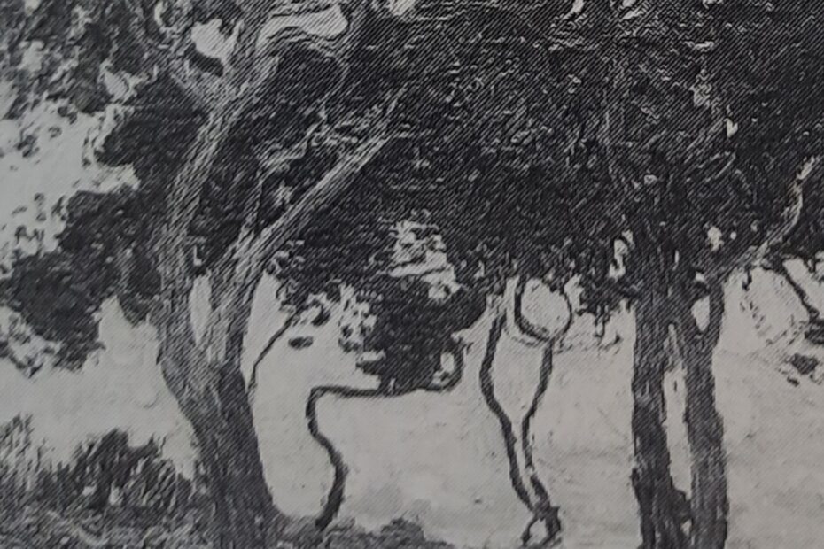 Kiefern, 1907