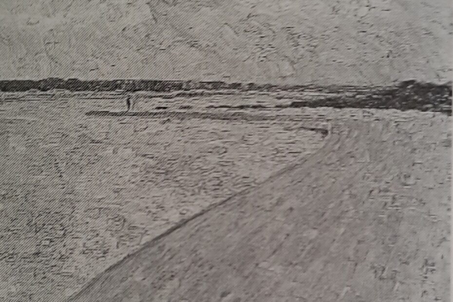 Am Rhein, 1907