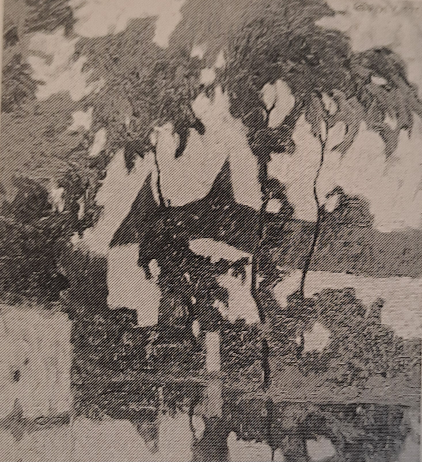 Torburg von Libermé, um 1907