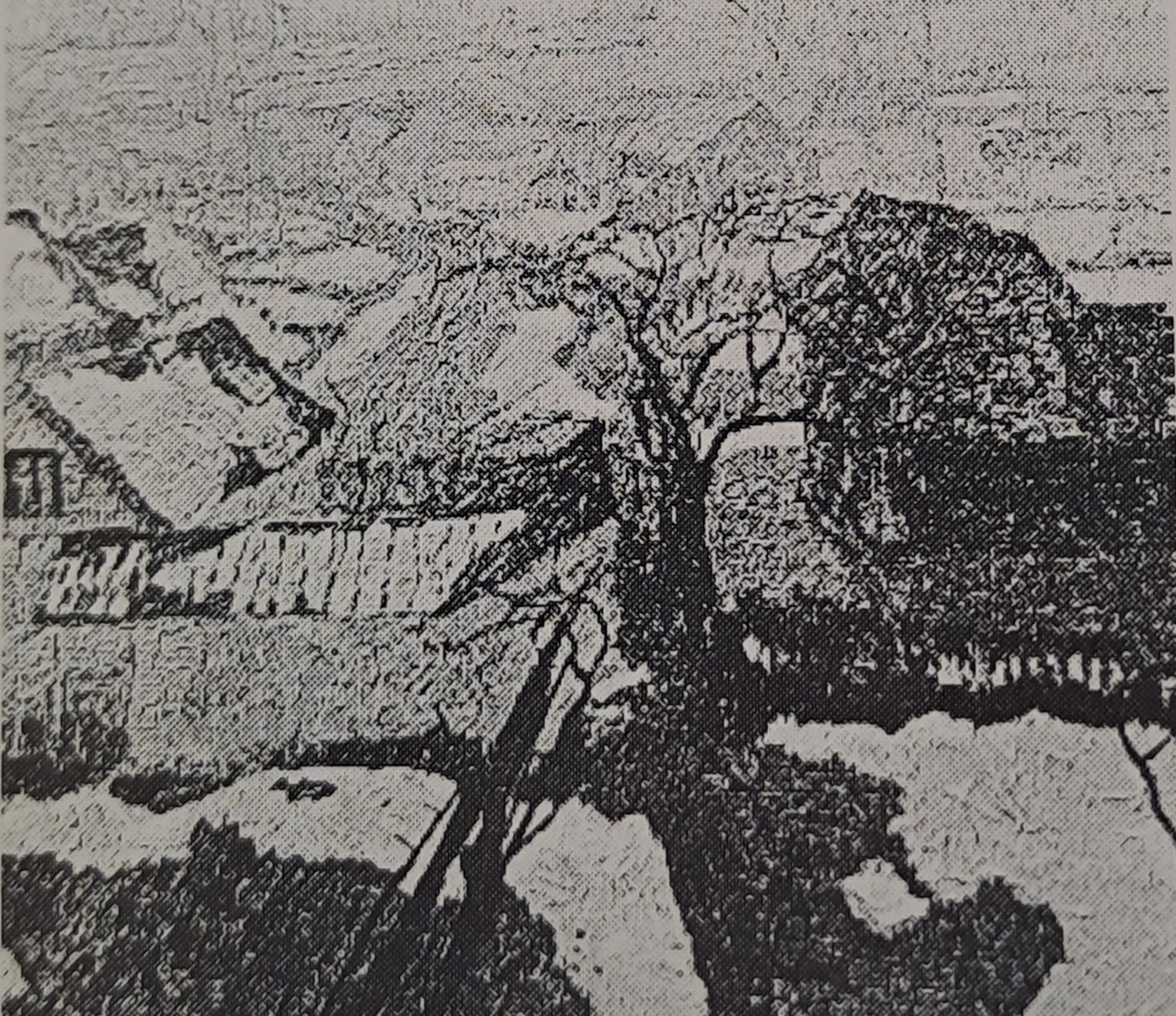 Dorf im Tauschnee, um 1908