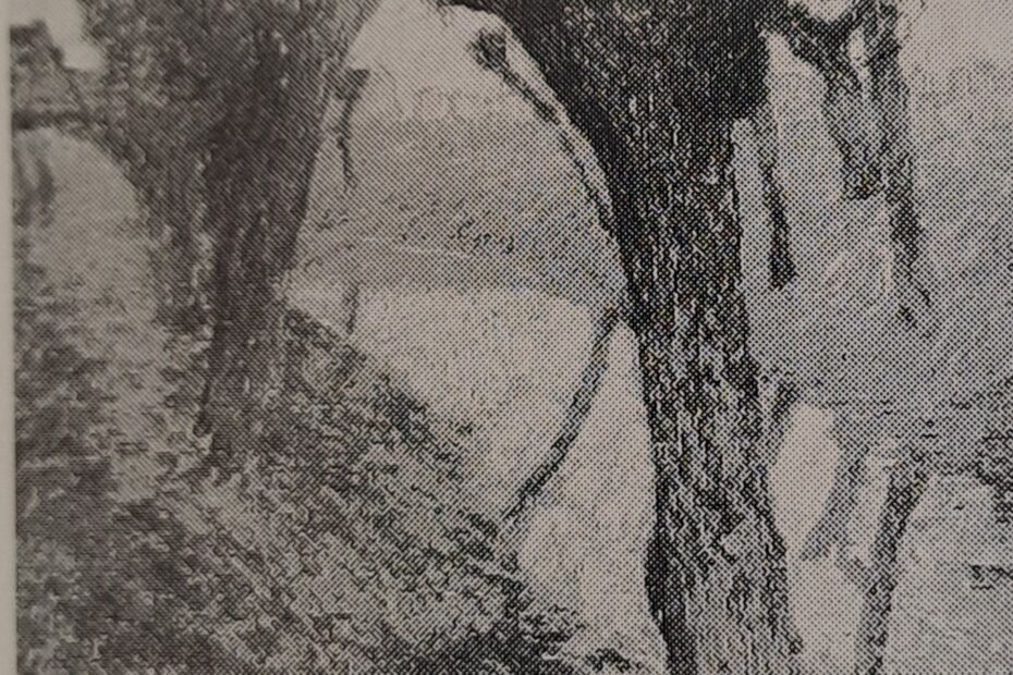Weiden bei abziehendem Nebel, 1908