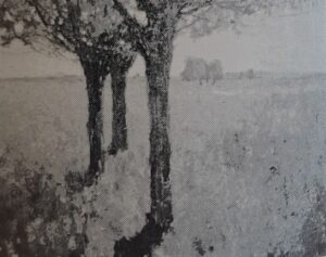 Bäume in Wiesenlandschaft, um 1908-1909