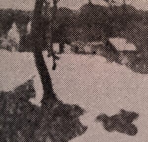 Dörfliche Landschaft im Schnee, 1908-1909