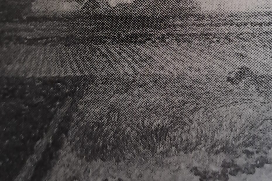 Felder, um 1909