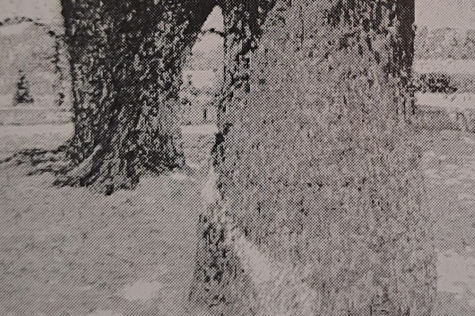 Eingang von Zons, um 1909