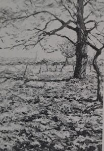 Blühender Obstgarten, 1909