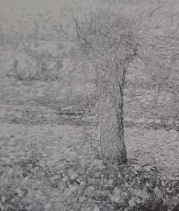 Weide am Fluß, 1909