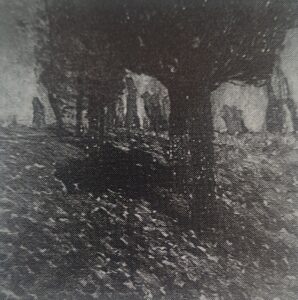 Weiden bei Wittlaer, um 1909