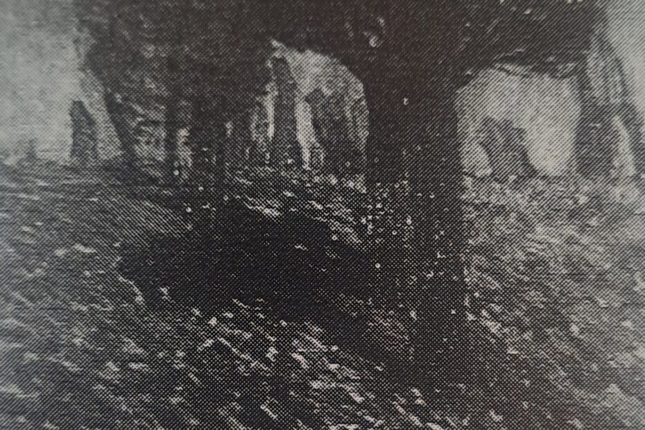 Weiden bei Wittlaer, um 1909