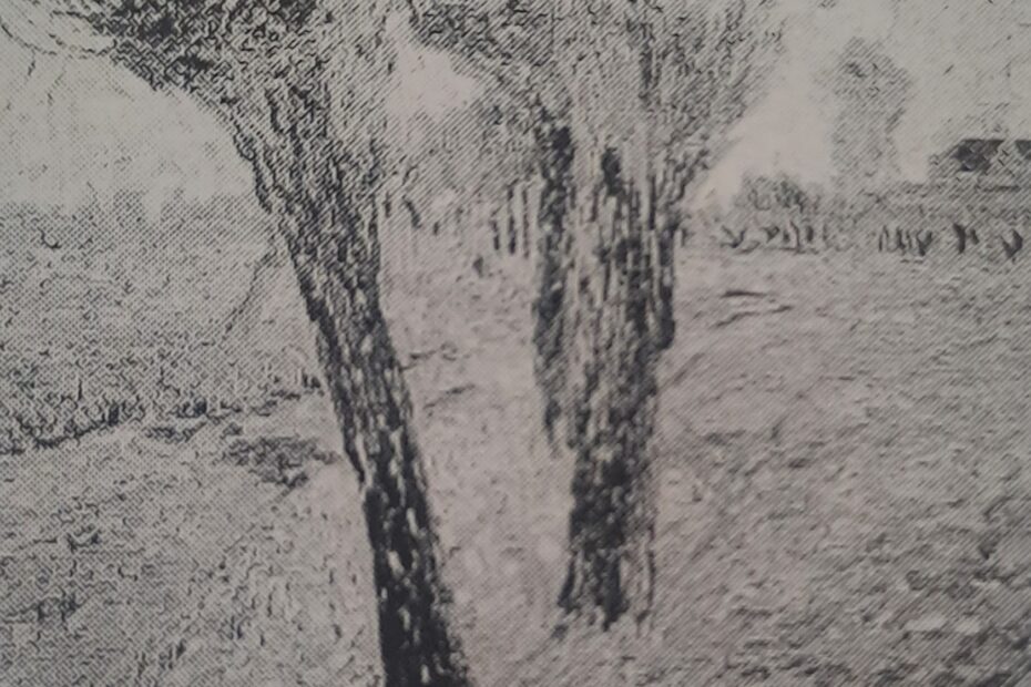 Weiden im Vorfrühling, um 1909