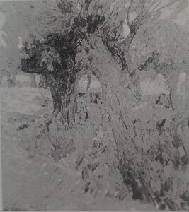 Alte Weiden, um 1909