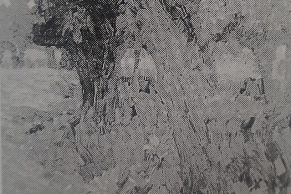 Alte Weiden, um 1909