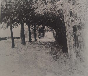 Allee - Am grauen Mittag, 1909