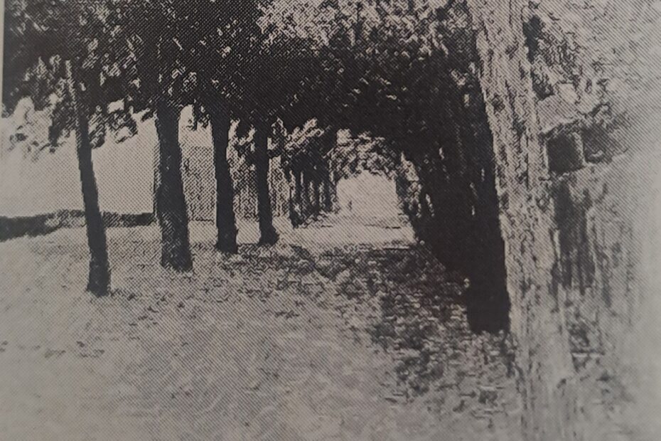 Allee - Am grauen Mittag, 1909