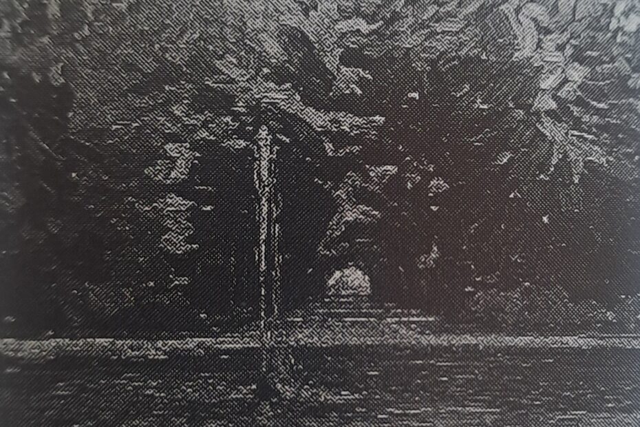 Aus dem Brühler Park, 1909