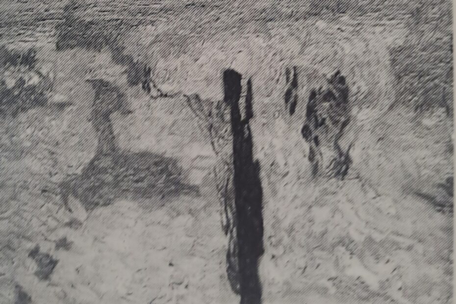 Verschneite Hecken in Eupen, 1910