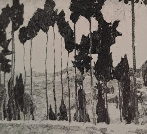 Fiesole, graues Wetter, 1910