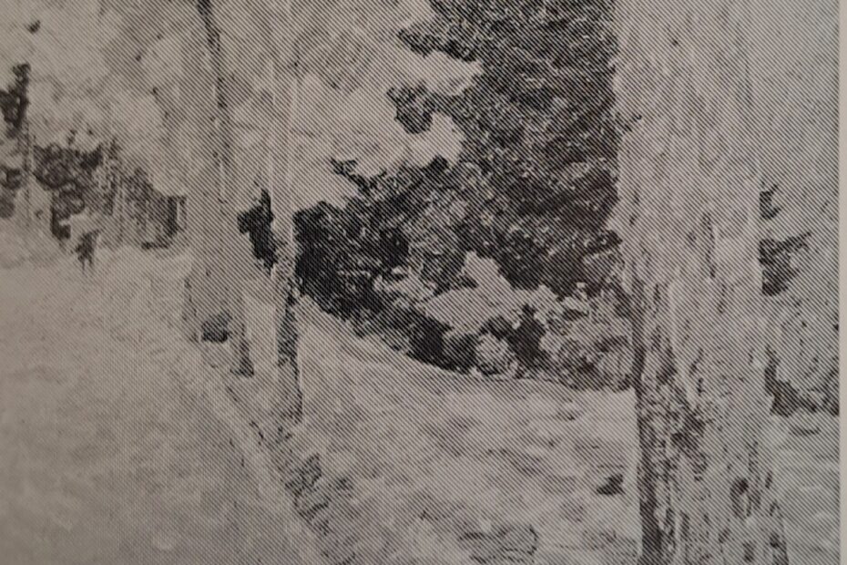Waldeingang bei Bigge, um 1910