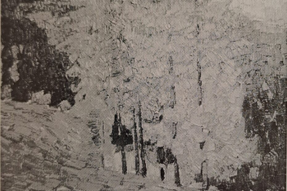 Herbstwald, um 1910