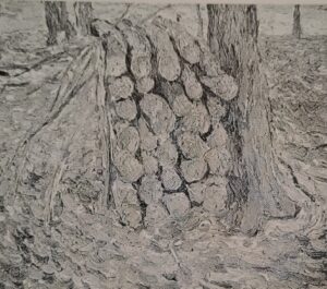 Nasses Erlenholz, 1910 - 1911