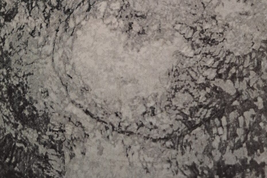 Parklandschaft, um 1911