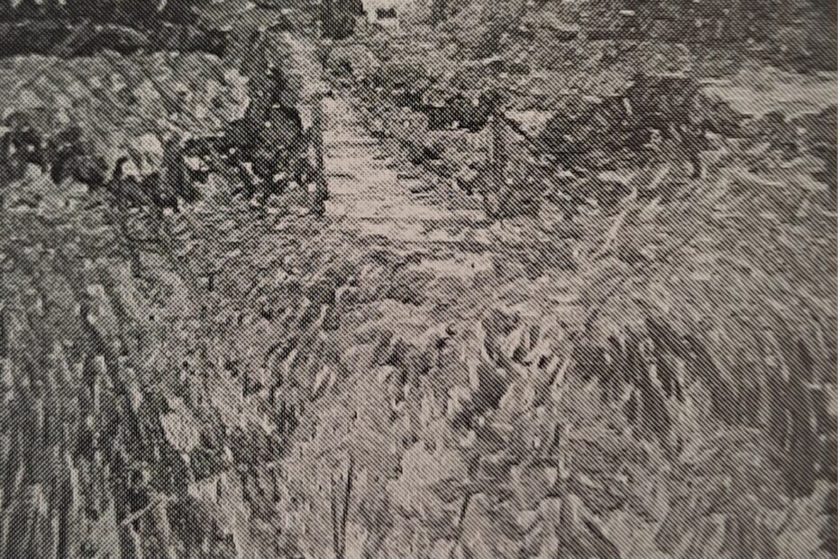 Haus im Garten, 1911