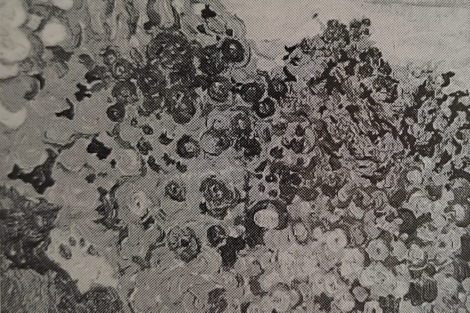 Herbstblumen, 1911
