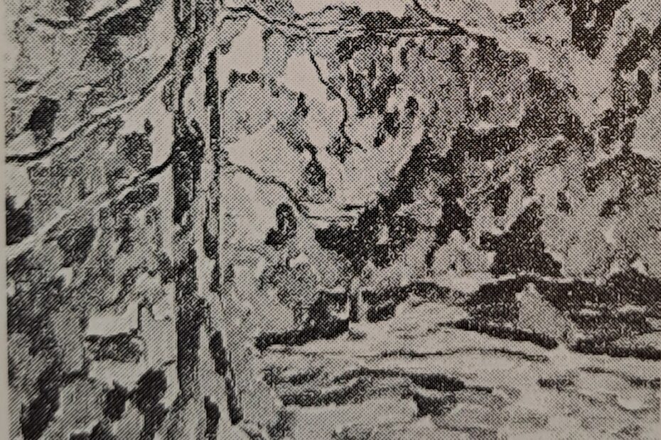 Park, um 1912