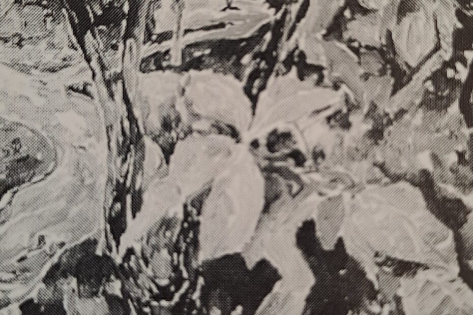 Belaubte Bäume mit Weg, um 1912