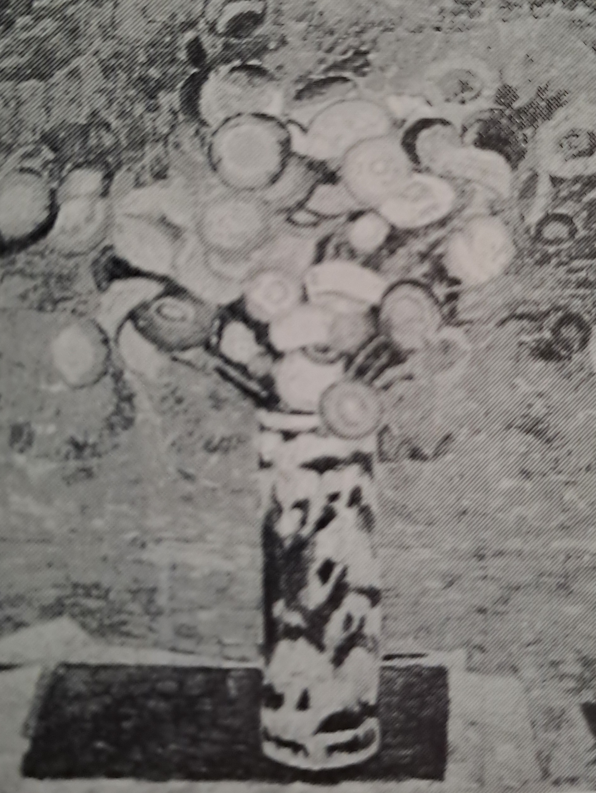 Strohblumen, um 1912