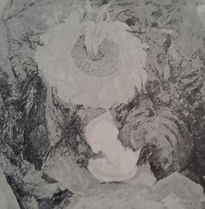 Sonneblume in Vase, um 1912