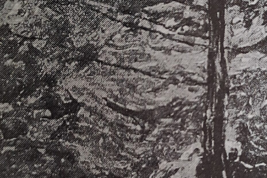 Parklandschaft I, 1913