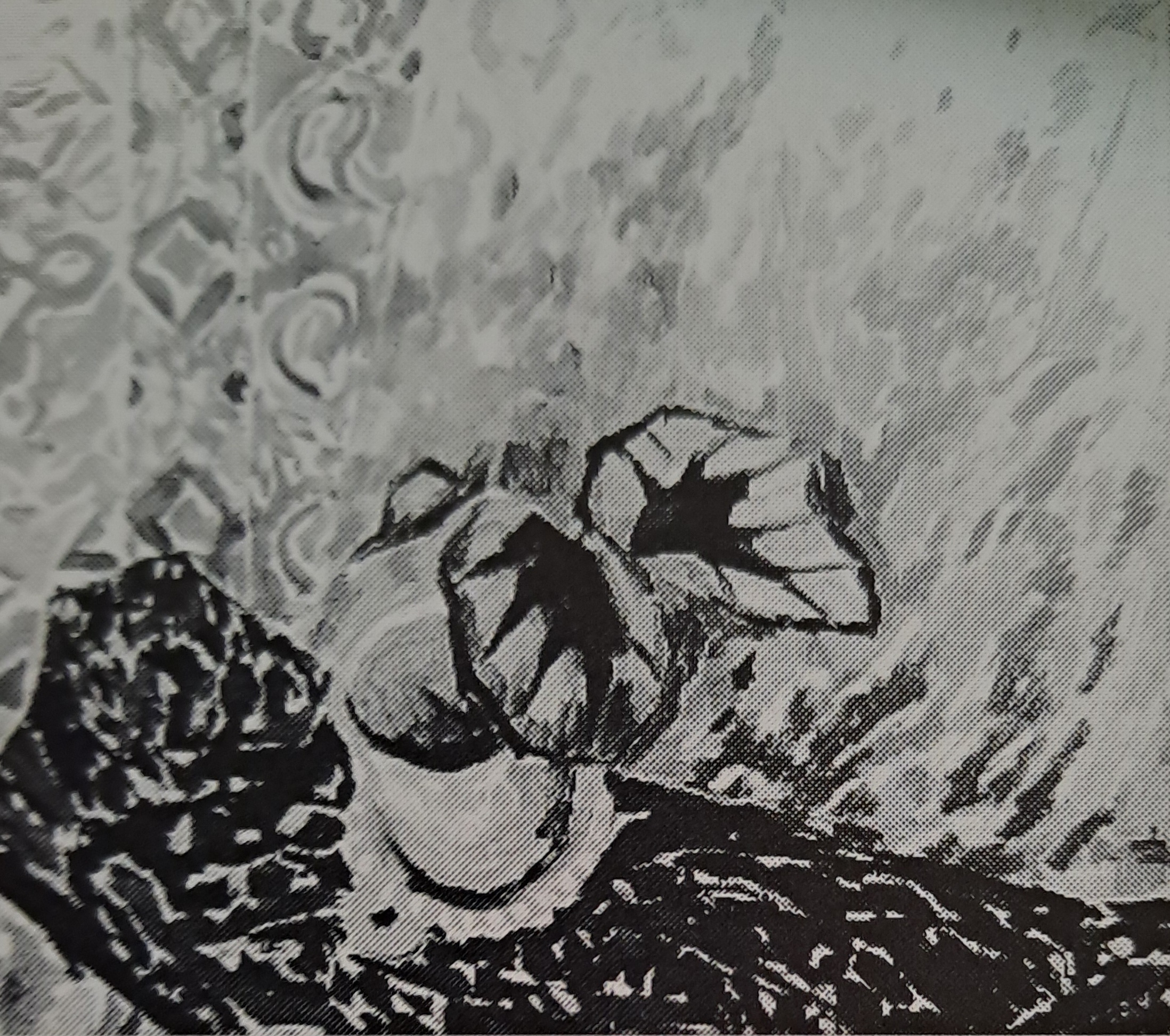 Begonien-Stilleben, um 1913