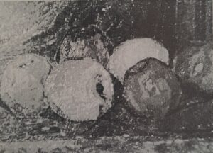 Stilleben mit Äpfeln, um 1915