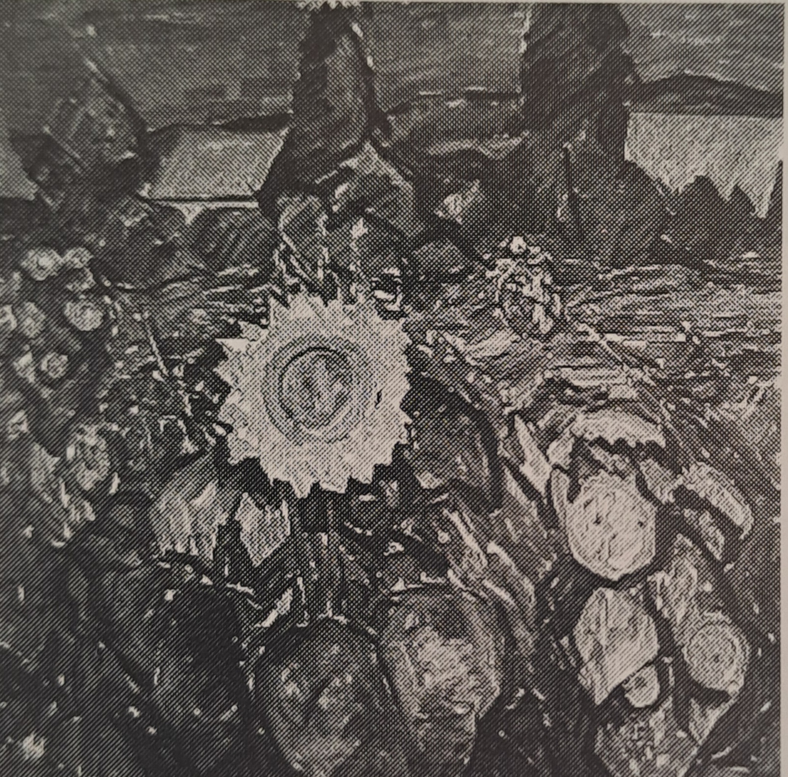 Helle Sonneblumen, um 1915