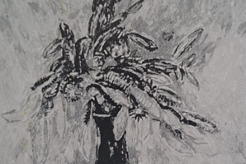 Tannenzapfen aus dem Harz, 1916