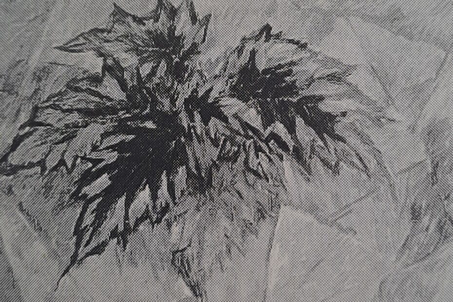 Grüne Blätter, um 1916